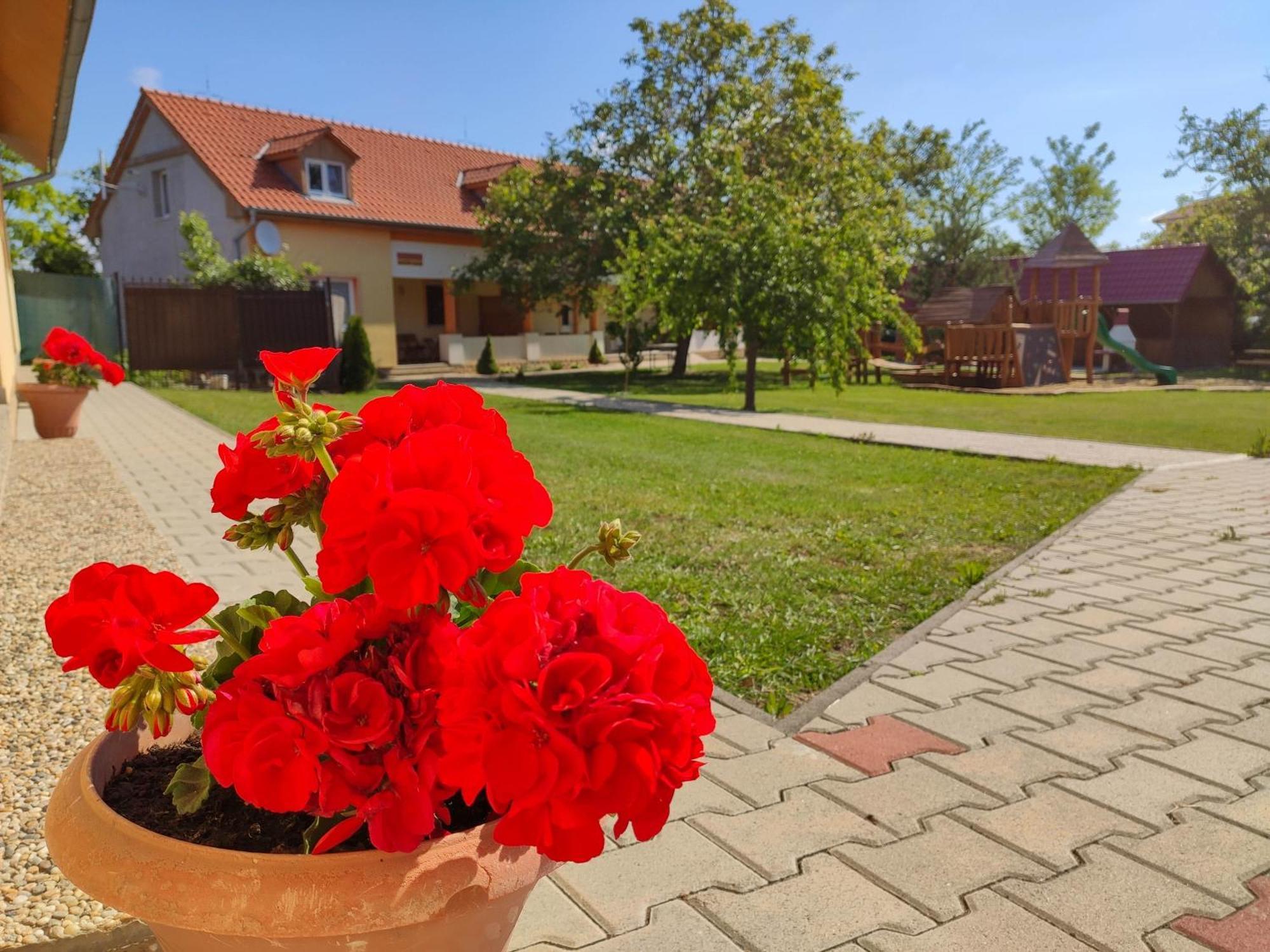 Ubytovanie Liska Radava Exterior foto